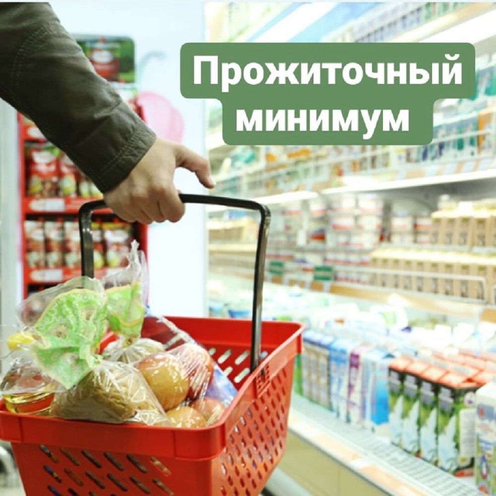 Прожиточный минимум в Республике Мордовия на 2026 год